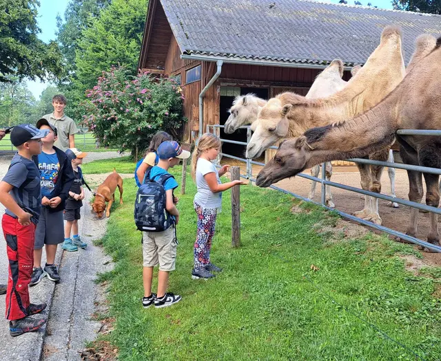 Manche Tiere durften sogar gefüttert werden. | Foto: Andreas Kepplinger