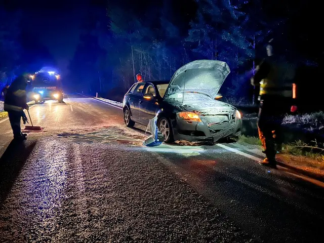 Eine Autofahrerin war in den späten Abendstunden mit ihrem Fahrzeug unterwegs, als plötzlich ein Wildschwein die Fahrbahn kreuzte. | Foto: FF Fuglau