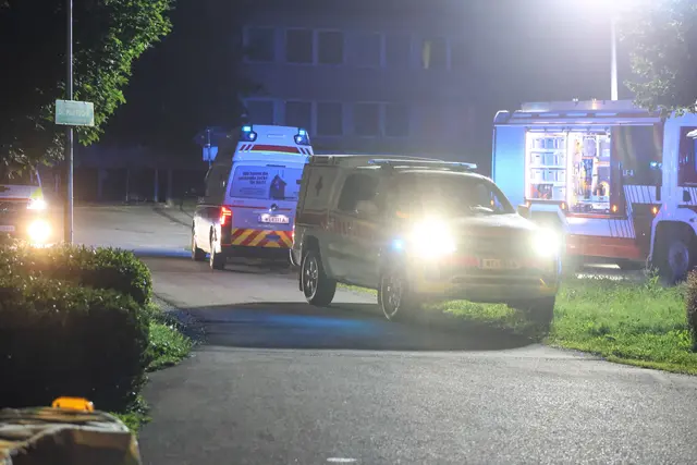 Drei Spaziergänger hörten die Hilfeschreie: Ein 37-Jähriger konnte schwer verletzt aus dem Katzenbach in Thalheim nahe der Traun gerettet werden. | Foto: laumat.at