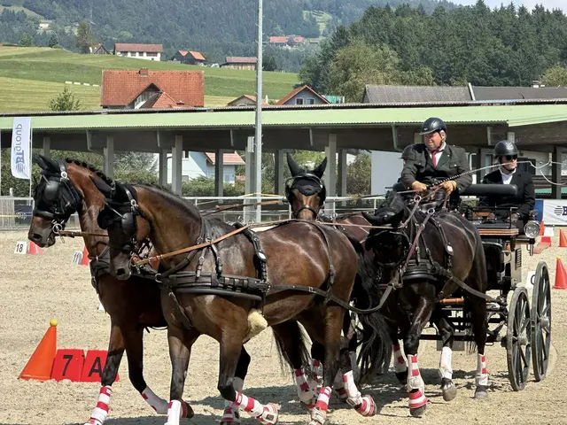 Das Hindernisfahren gilt als Königsdisziplin im Gespannfahren. | Foto: Stadtgemeinde Köflach