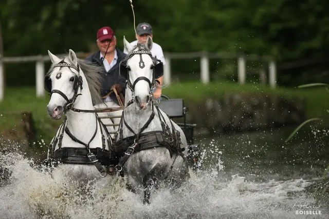 Beim Marathon gibt es viele Naturhindernisse zu bewältigen. | Foto: Gabrielle Boiselle