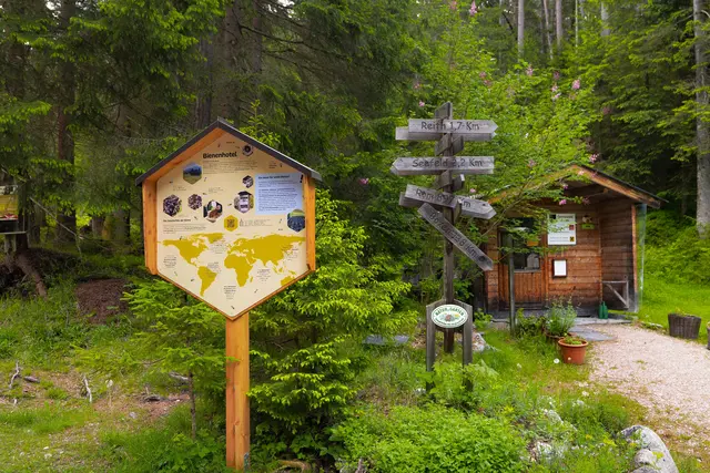 Bienenlehrpfad Reith bei Seefeld | Foto: Region Seefeld