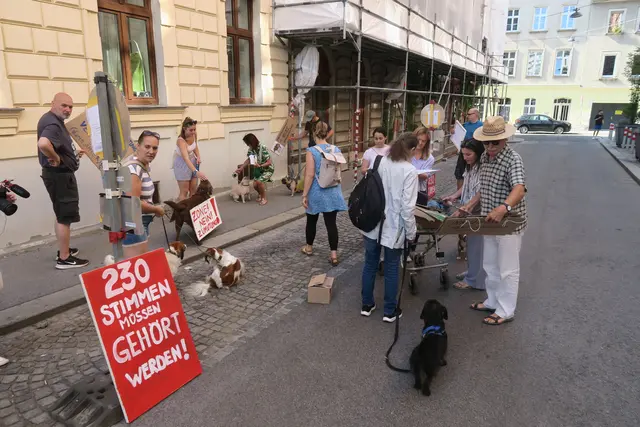Foto: Patricia Hillinger/MeinBezirk