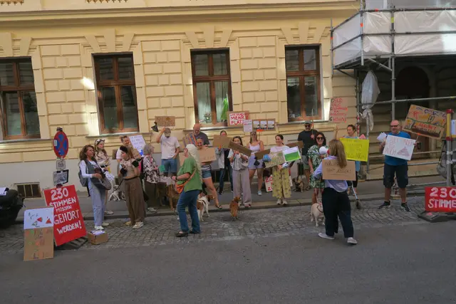 Foto: Patricia Hillinger/MeinBezirk