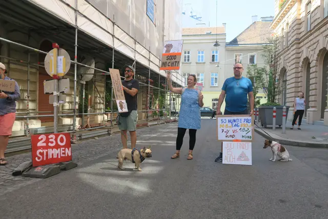 Foto: Patricia Hillinger/MeinBezirk