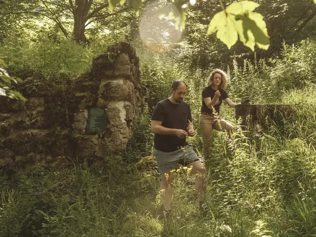 Die Bründler Gastwirte Stefan und Silva Hueber kochen im Kräuterkraftwerk in Steinakirchen am Forst auf. | Foto: friendship.is/Ian Ehm