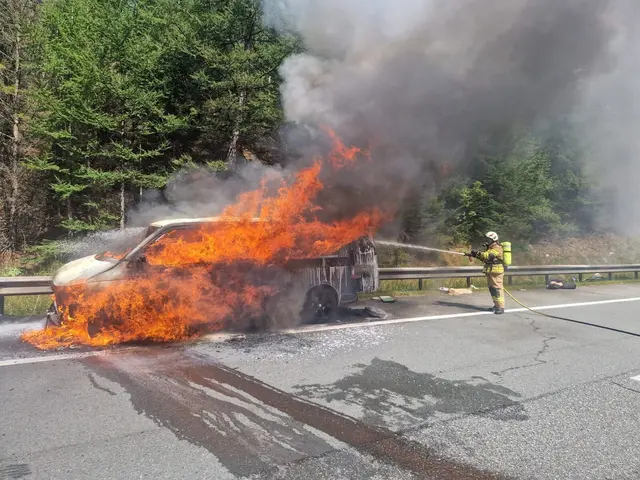 Die Freiwillige Feuerwehr (FF) Zederhaus wurde am Dienstagnachmittag, 12. August 2025, zu einem Pkw-Brand auf der A10 Tauernautobahn alarmiert. Ein Kleinbus stand in Vollbrand. | Foto: FF-Zederhaus