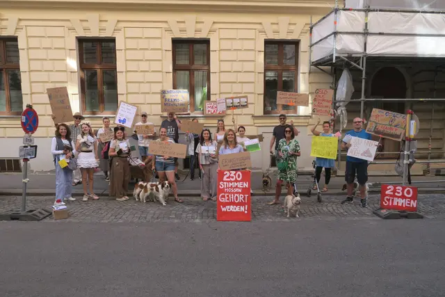 Foto: Patricia Hillinger/MeinBezirk