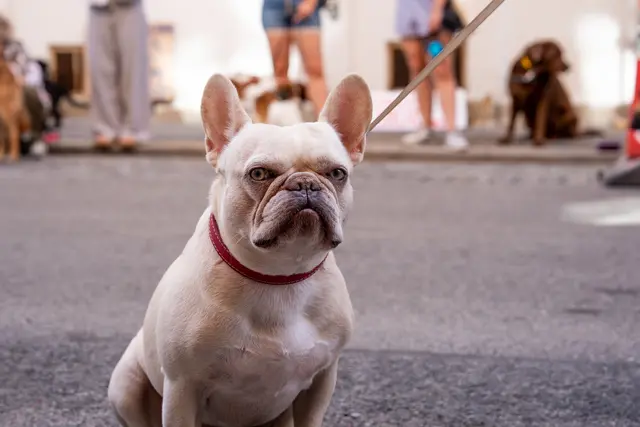 Foto: Valentina Marinelic/MeinBezirk