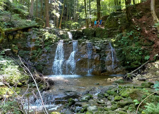 Wildkar Wasserfall  | Foto: H.Bachinger