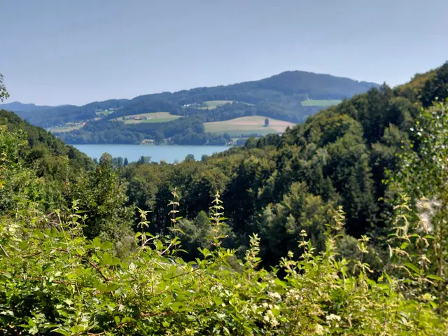 Obertrumer See  | Foto: H.Bachinger