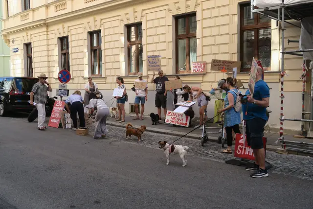 Foto: Patricia Hillinger/MeinBezirk