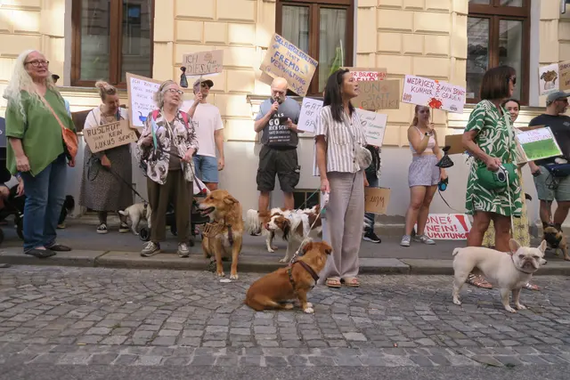 Foto: Patricia Hillinger/MeinBezirk