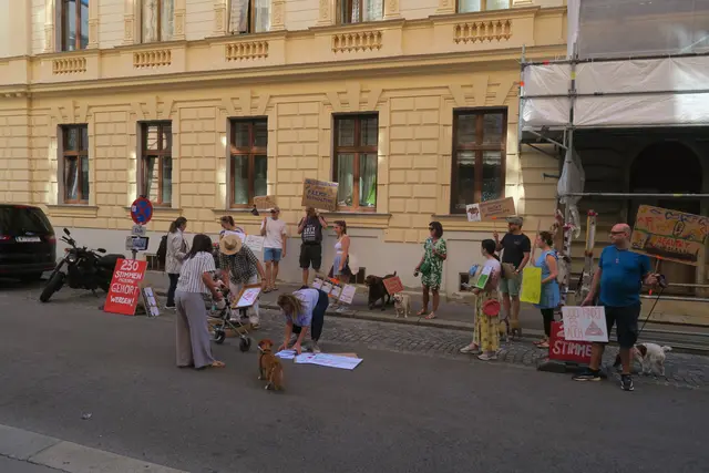 Foto: Patricia Hillinger/MeinBezirk