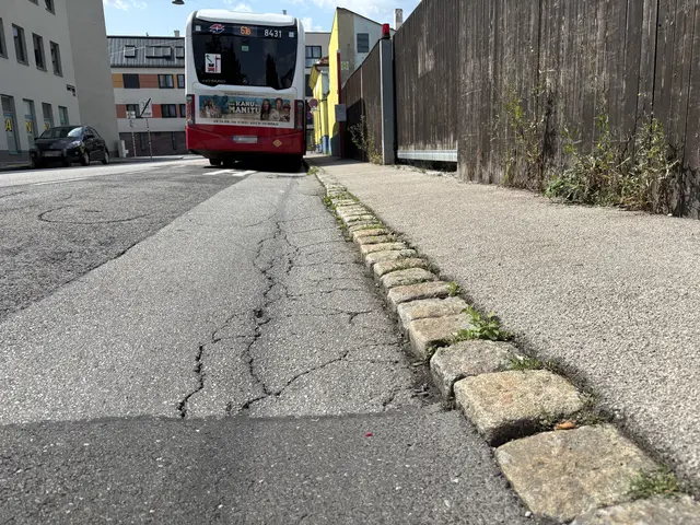 Foto: Lisa Kammann/MeinBezirk