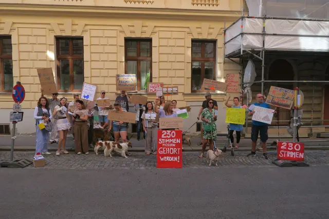 Foto: Patricia Hillinger/MeinBezirk