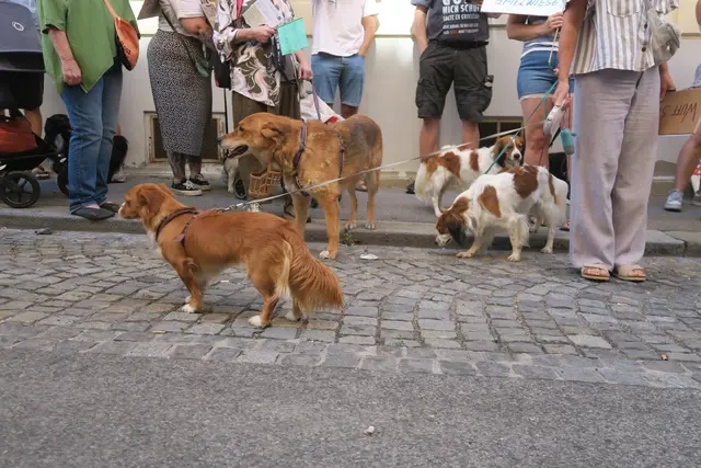 Foto: Patricia Hillinger/MeinBezirk