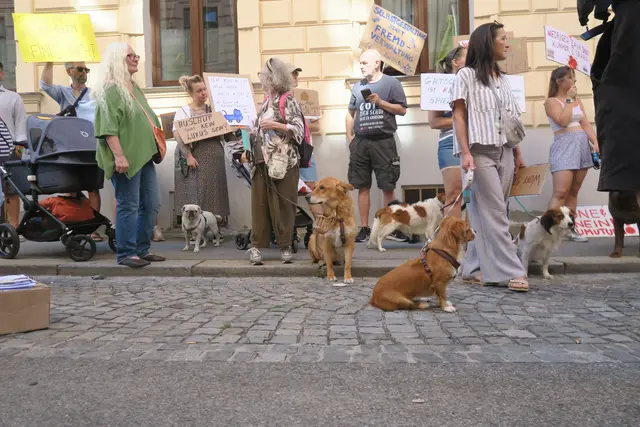 Foto: Patricia Hillinger/MeinBezirk