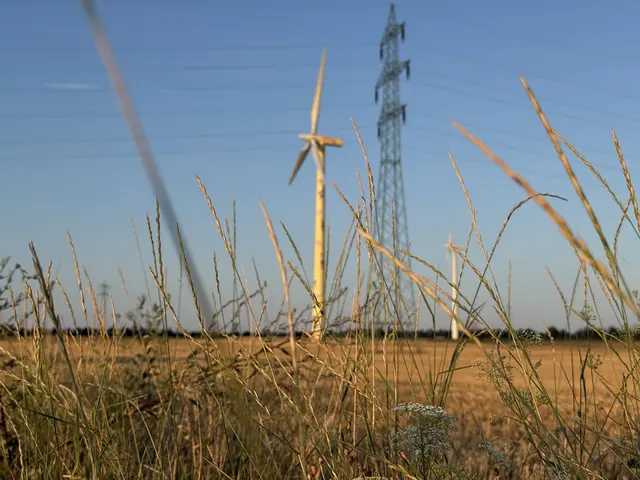 In der Gemeinde Himberg sorgen jüngste Gerüchte über mögliche Windkraftanlagen für Verunsicherung. (Symbolbild) | Foto: Alexander Paulus