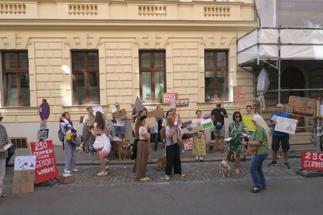 Foto: Patricia Hillinger/MeinBezirk