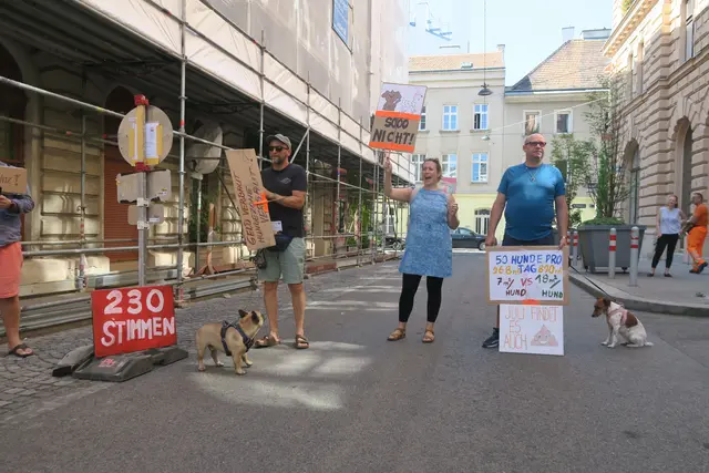 Foto: Patricia Hillinger/MeinBezirk