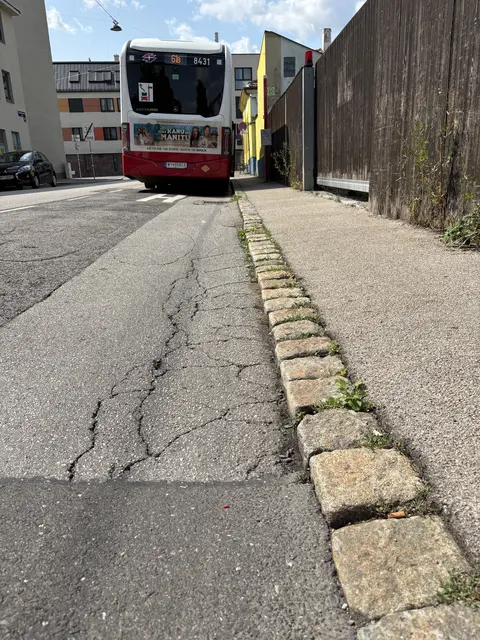 Foto: Lisa Kammann/MeinBezirk