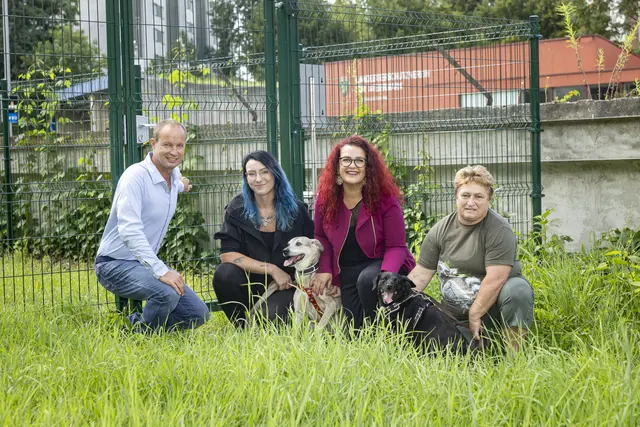 Thomas Mrkor, Obmann des Landestierschutzvereins Graz, Hundetrainern Anja Hladik, Stadträtin Claudia Schönbacher und Tierheimleiterin Susanne Bräuer nahmen die neue Wiese mit Milo und Nora in Betrieb. | Foto: Foto Fischer/Stadt Graz