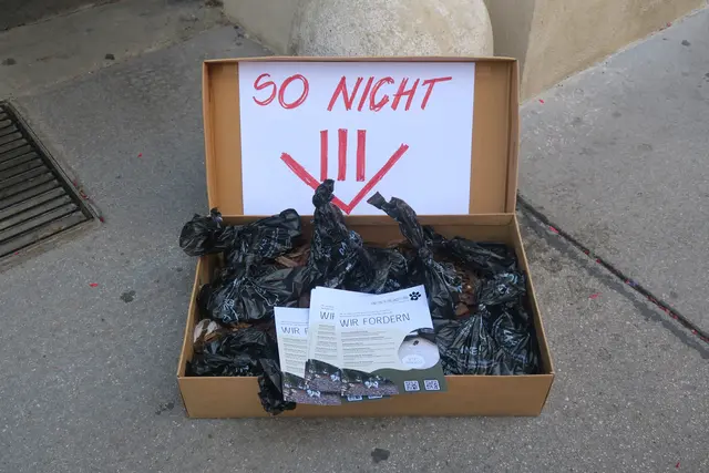 Foto: Patricia Hillinger/MeinBezirk