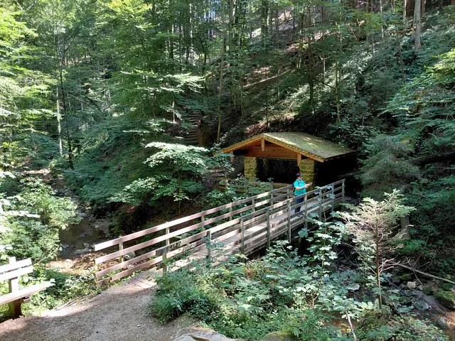 Kugelmühle  | Foto: H.Bachinger