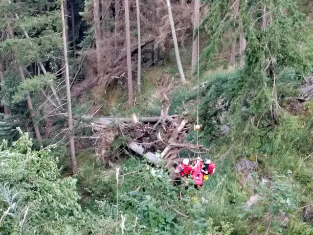 Bergretter am Penken im Einsatz – ein 66-jähriger Deutscher stürzte rund 30 Meter ab. | Foto: zoom.tirol
