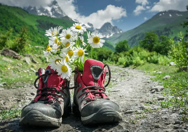 Die Wanderschuhe einmal stehen lassen und barfuß den Wald genießen. | Foto: Adobe Stock