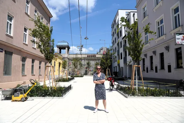 Entlang der Längsseite wurden fünf neue Bäume mit Grünbeeten gepflanzt. Im hinteren Bereich ist ebenfalls ein Blumenbeet mit säulenförmigen Sträuchern entstanden. | Foto: BV14