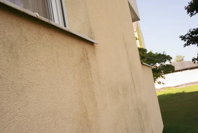Einzelne Eierschalten blieben auf den Fensterbrettern kleben. | Foto: Santrucek