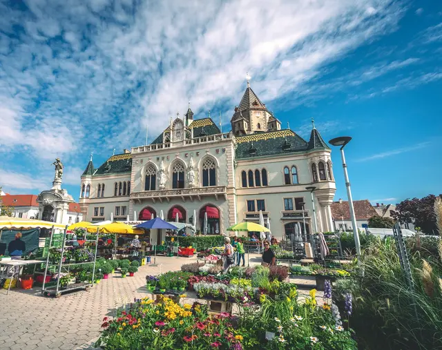 Die Entwurfsunterlagen des Bebauungsplans werden  öffentlich aufgelegt und können im Zeitraum von 12. August bis 23. September 2025 im Bauamt des Rathauses während der Amtszeiten eingesehen werden. | Foto: markjan photography