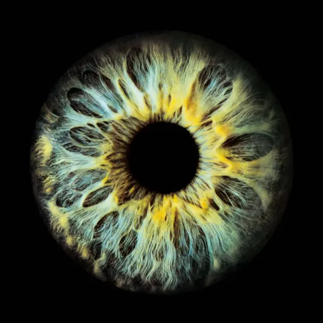 Code of the Universe | Foto: QuasarGroup