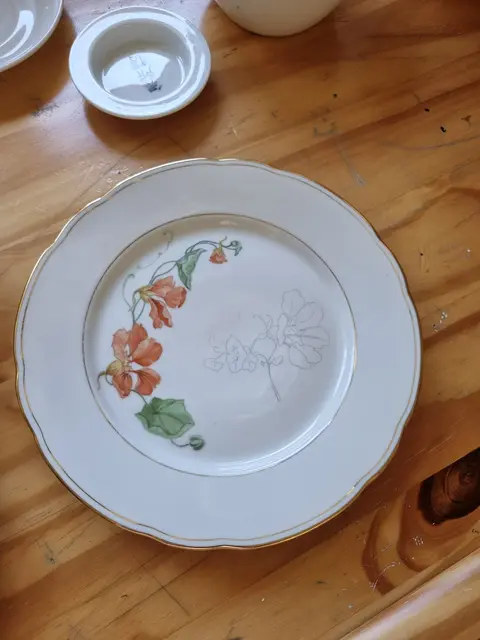 Vorgezeichnet wird das Motiv mit einem Glas-Plastik-Metall-Bleistift. Muss beim Malen bei der sogenannten Auf-Glasur-Malerei etwas korrigiert werden, geht das ganz einfach durch Abwischen mit Spiritus oder Abkratzen. Erst durch den Brennofen wird das Motiv haltbar.  | Foto: Astrid Höbenreich-Mitteregger