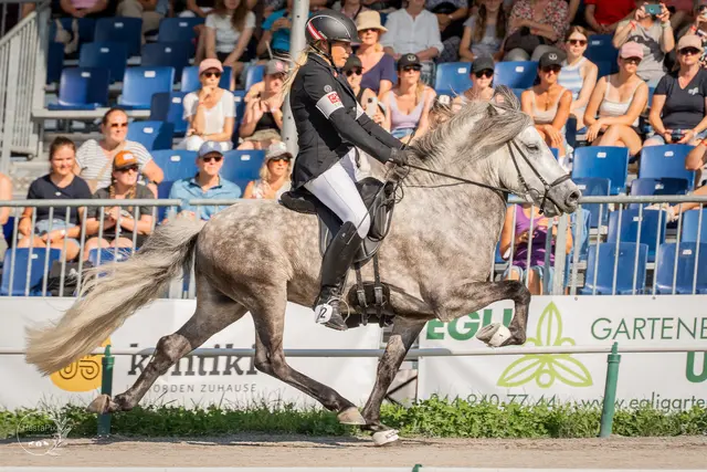 Carina Piber mit dem Hengst Milljardur frá Stora-Adalskardi. | Foto: hestapix