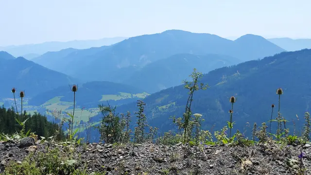 da ginge ein Unfall wohl böse aus... | Foto: I.Wozonig