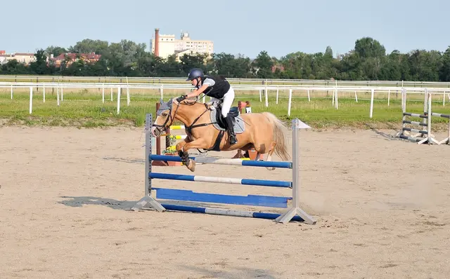 Foto: mamaraZZa photo