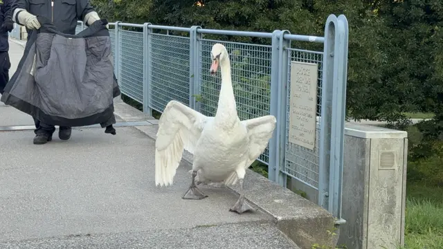 Foto: DOKU-NÖ