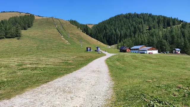 gemütliche Wege führen über den Almboden ... | Foto: I.Wozonig