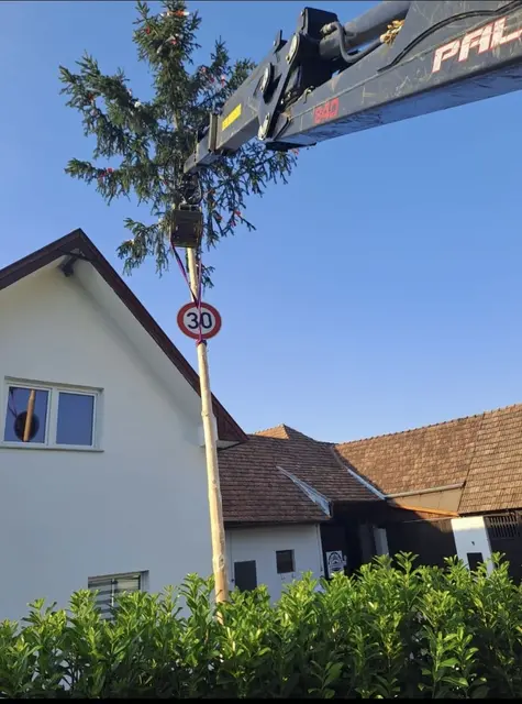 Baum im Aufbau. | Foto: privat