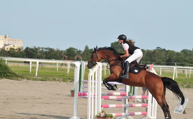 Foto: mamaraZZa photo