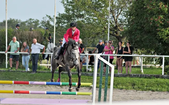 Foto: mamaraZZa photo