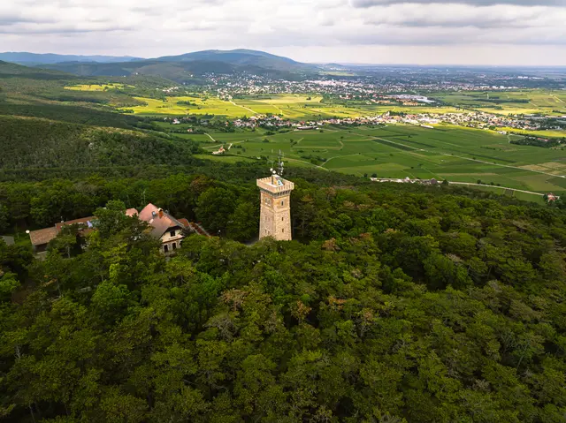 Die Kaiser-Franz-Josephs-Jubiläumswarte am Harzberg bei Bad Vöslau. | Foto: Wienerwald Tourismus/Sascha Schernthaner
