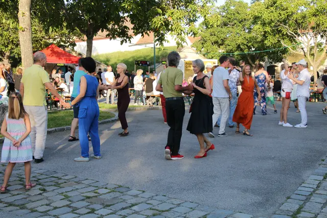 Ob Salsa tanzen oder Party machen – MeinBezirk fasst die coolsten Feste im Burgenland zusammen.  | Foto: Eduard Wimmer