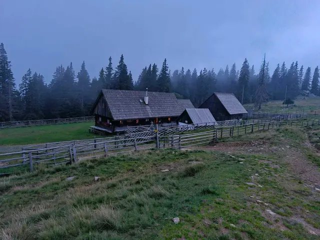Die Sicht von der Viehweide auf die Alm am Berg | Foto: Ingrid Theussl