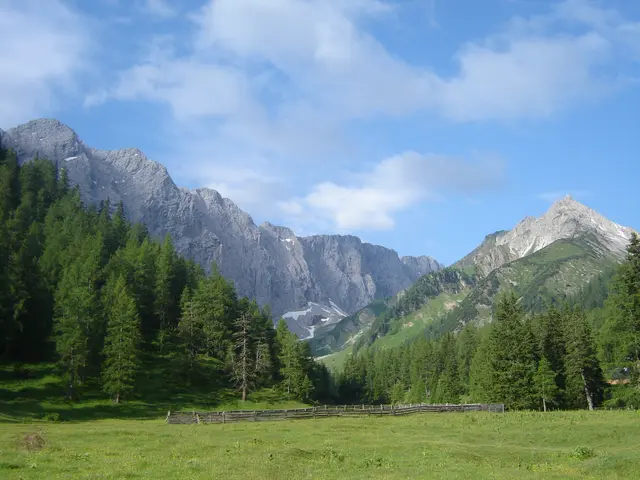 Am Sonntag, den 10. August, fand eine Wanderin unterhalb der Heiterwand im Gemeindegebiet von Tarrenz eine Leiche. Bei der Verunfallten dürfte sich um eine 38-jährige Deutsche handeln. | Foto: Kathrin Tiefenbrunner