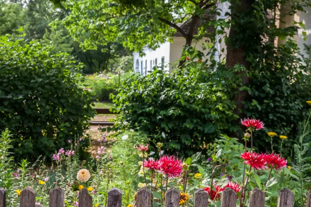 Museumsdorf Niedersulz | Foto: Nadja Meister