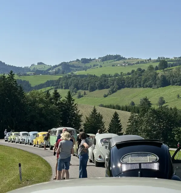 Am Wochenende waren exakt 111 Autos dabei, wie Organisator Peter Kohoutek erzählt.  | Foto: zVg/Kohoutek